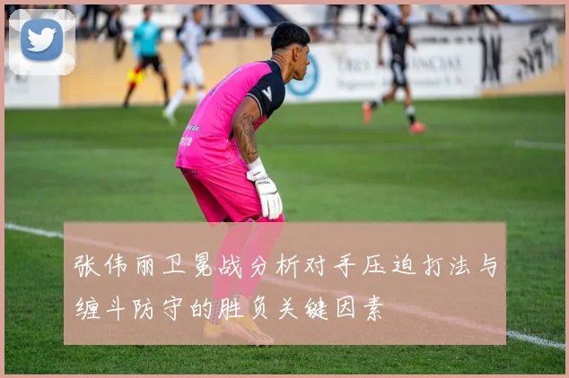 张伟丽卫冕战分析对手压迫打法与缠斗防守的胜负关键因素