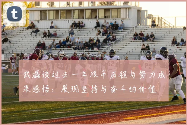 武磊谈过去一年艰辛历程与努力成果感悟，展现坚持与奋斗的价值